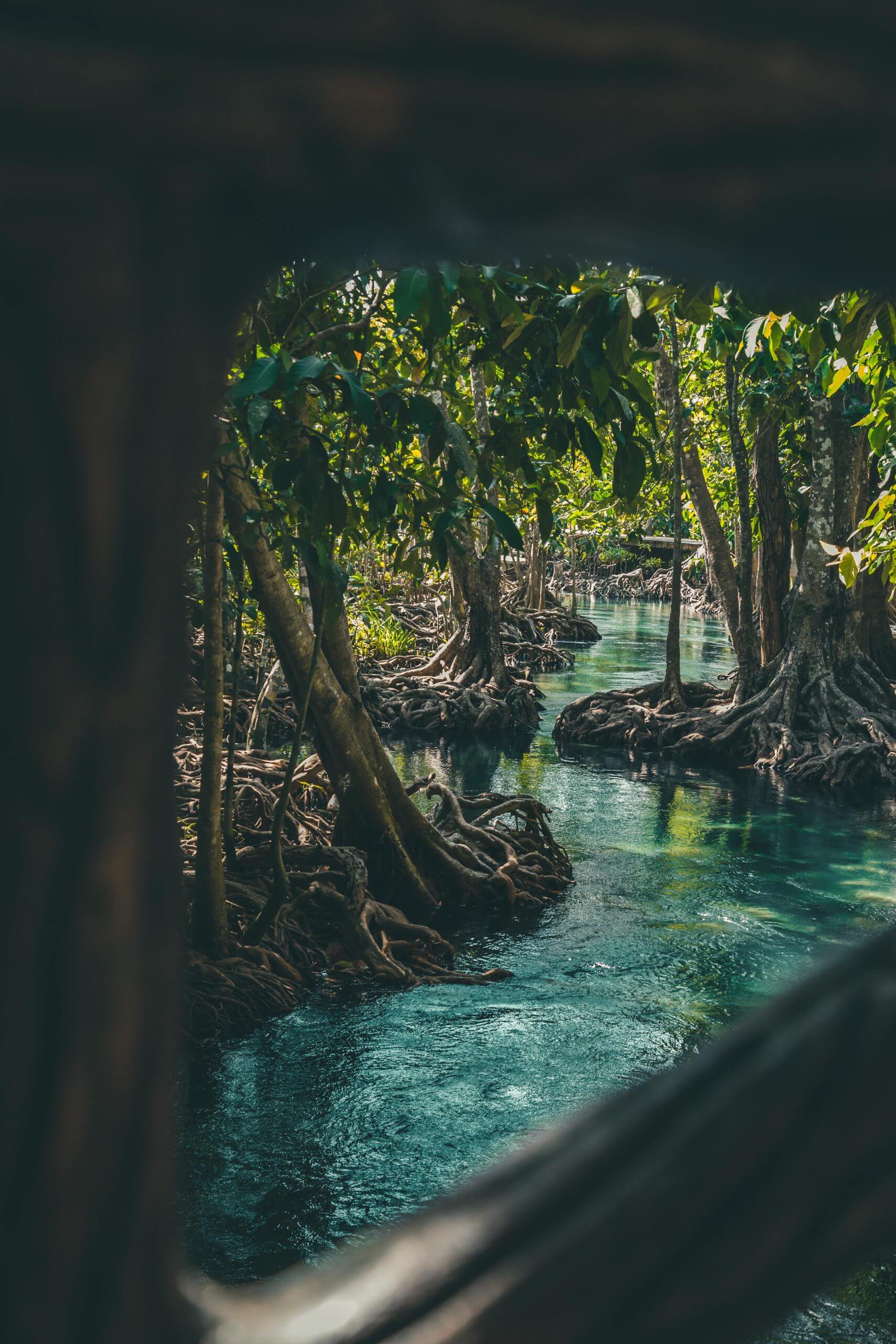 Krabi_Tour190111-_MG_5167-scaled-1