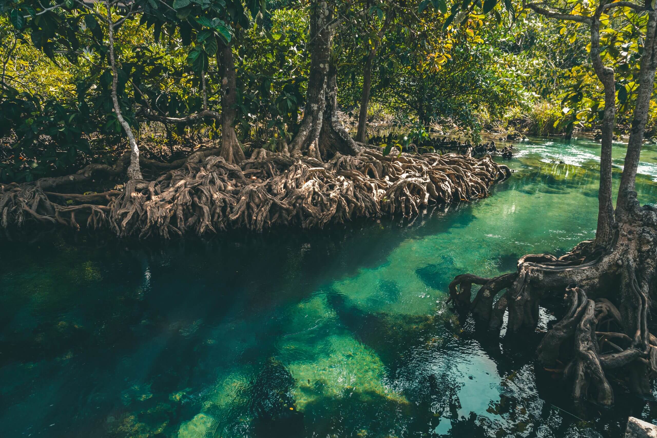 Krabi_Tour190111-_MG_5192-scaled-1