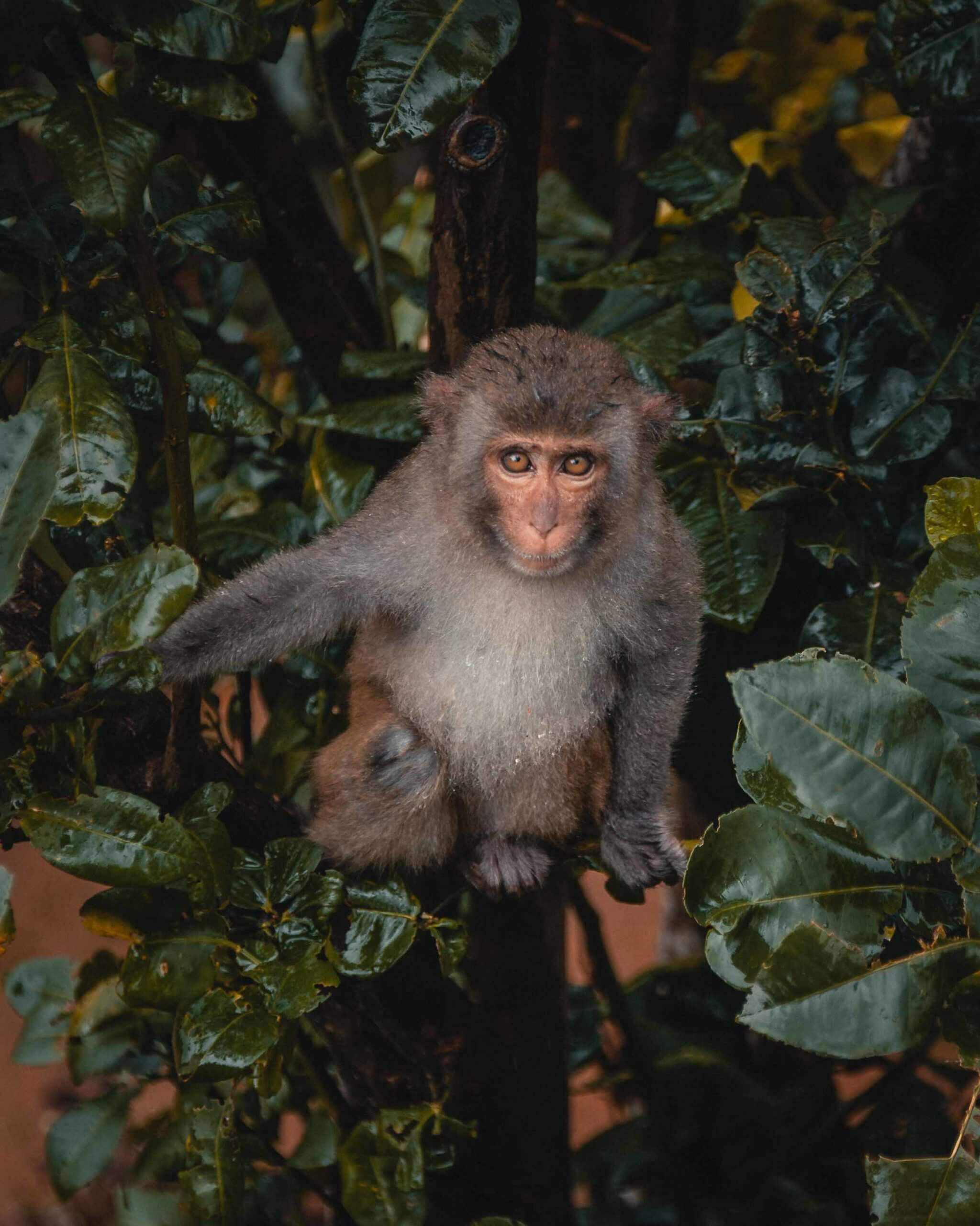Vietnam_2018-3344-scaled-1